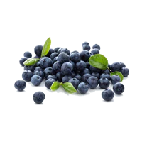 Organic Blueberry