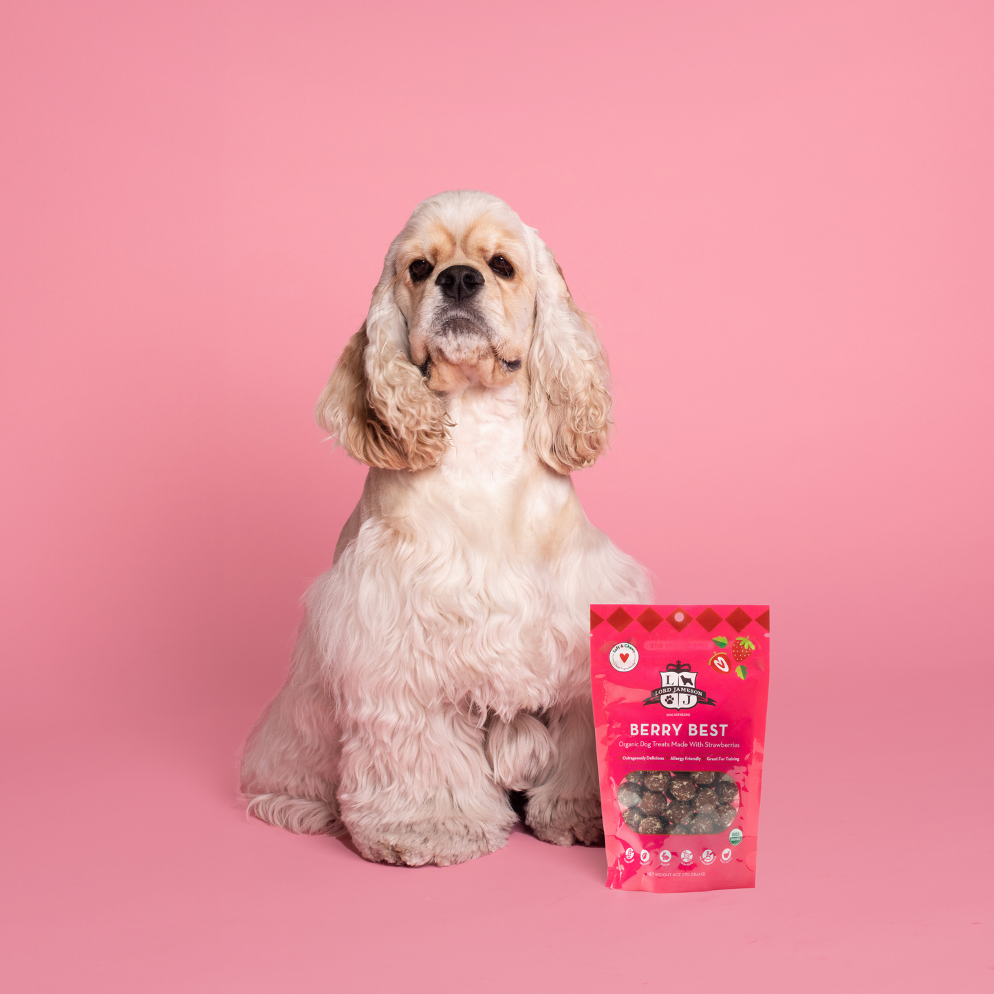 Berry Best Organic Dog Treats