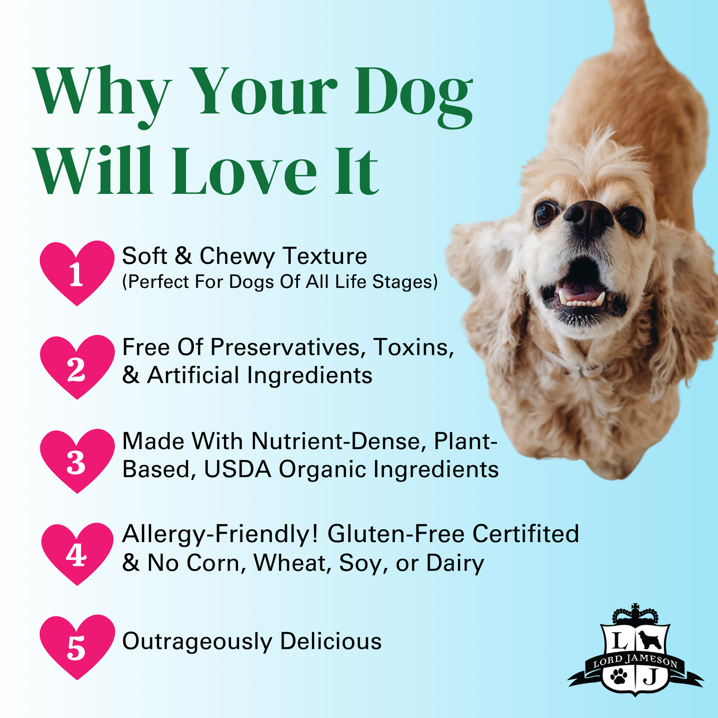 Apple Pops Organic Dog Treats