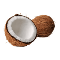 Organic Coconut