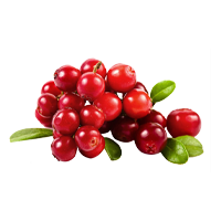 Organic Cranberry