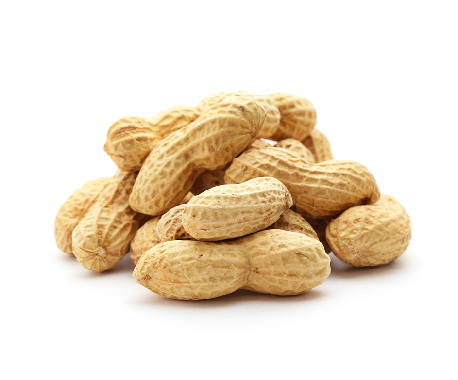 Organic Peanuts