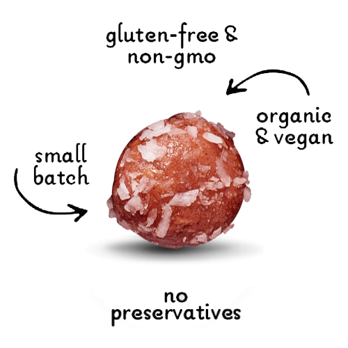 WHOLESALE Berry Best Organic Dog Treats | Strawberries, Beets + Coconut - Lord Jameson Organic Dog Treats 
