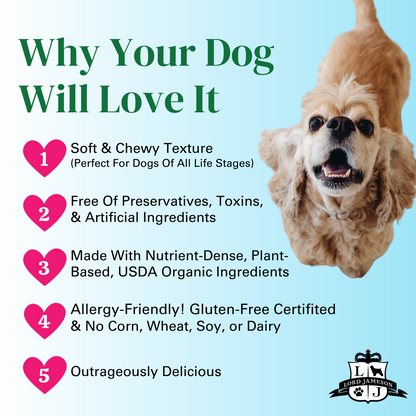 Carrot Pops Organic Dog Treats
