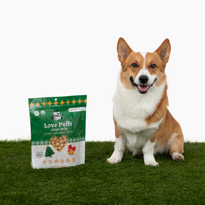 Jingle Bells Organic Dog Treats