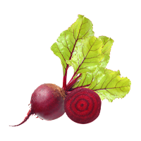 Organic Beet